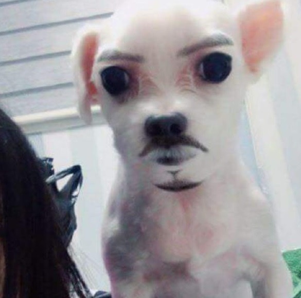 진지 이미지