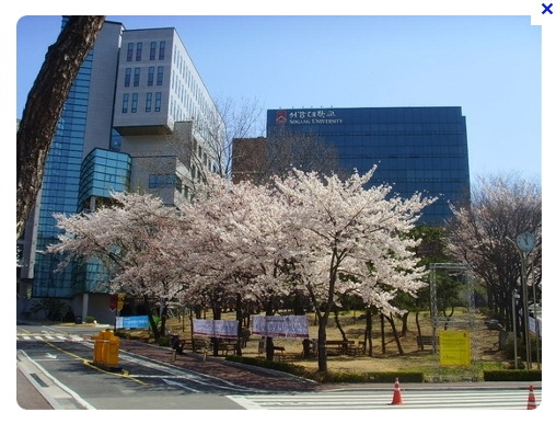 서강대학교 | 인스티즈