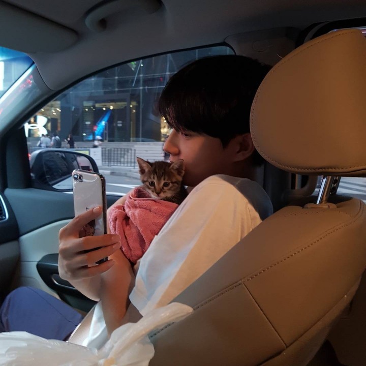 JBJ 김용국이 키우는 고양이 톨비 르시 | 인스티즈