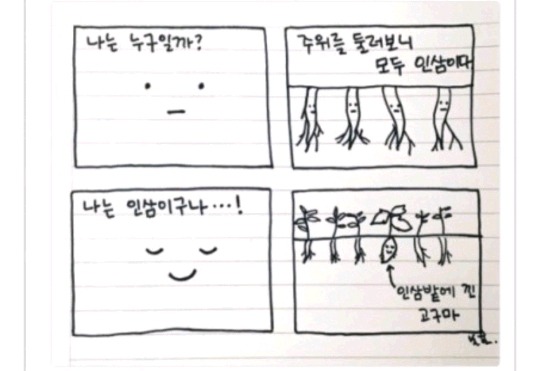 인삼밭의 고구마 | 인스티즈