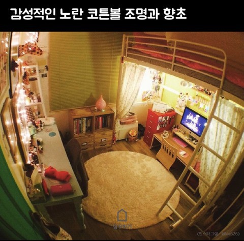 자취 라이프 로망 vs 현실 | 인스티즈