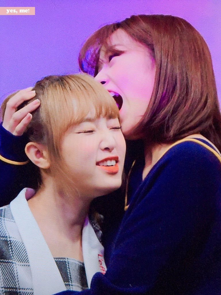 아이즈원 사람무는 대형견 제압.gif | 인스티즈