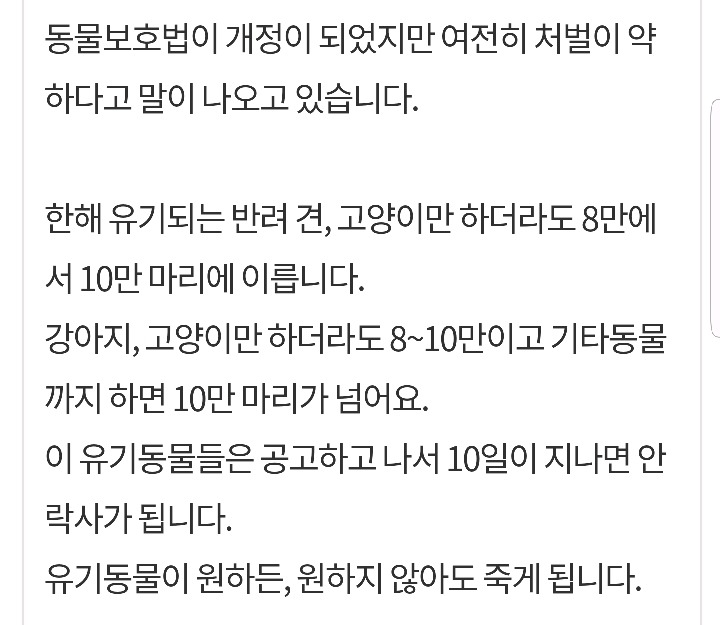 유기동물 공고 후 입양자가 없어 일정기간(10일)이 지나면 죽게 되는 동물들. 기괴 하지 않아??? 정작 유기한 사람들은 처벌 안 받으면서 | 인스티즈