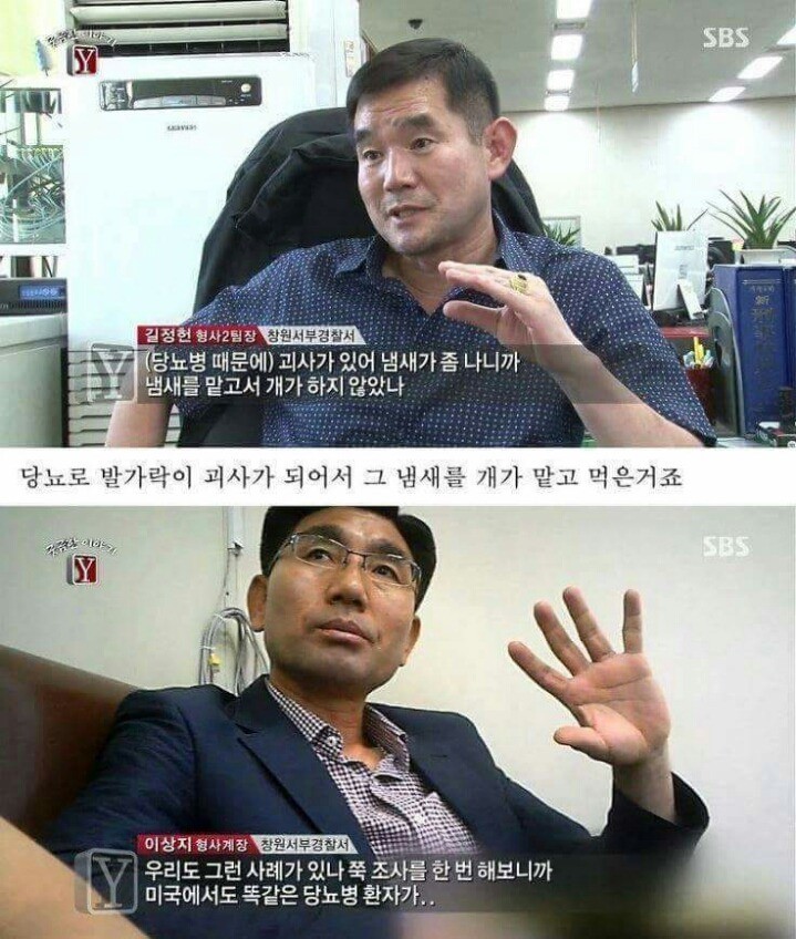 궁금한이야기Y 역대급 난제 ㄷㄷ | 인스티즈