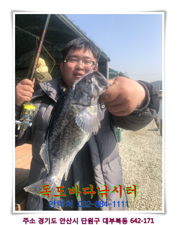 아침바다독도 이미지