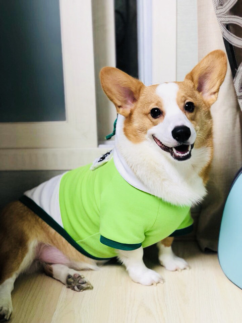 하이하이 이미지