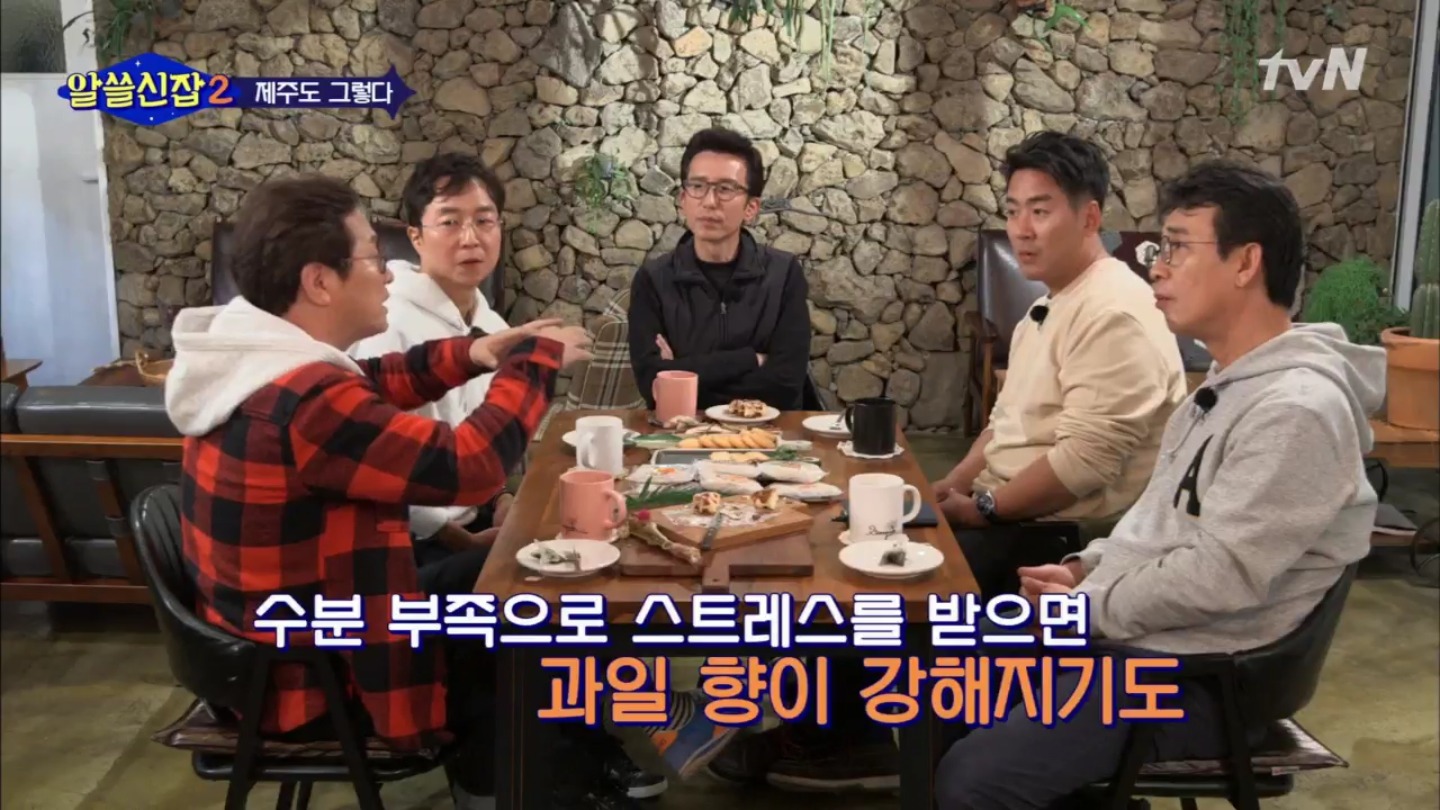 [알쓸신잡2] 조금 못나고 상처 입은 것들의 향이 좋을 수 있다 (교익쌤이 알려주는 귤 고르기 팁) | 인스티즈