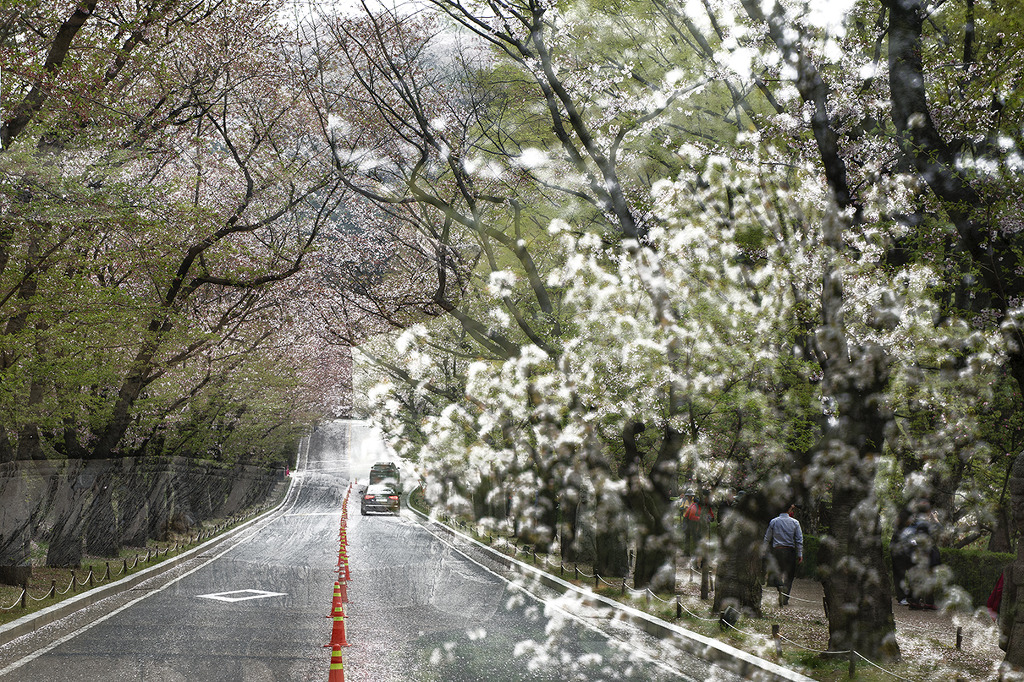 희원 이미지