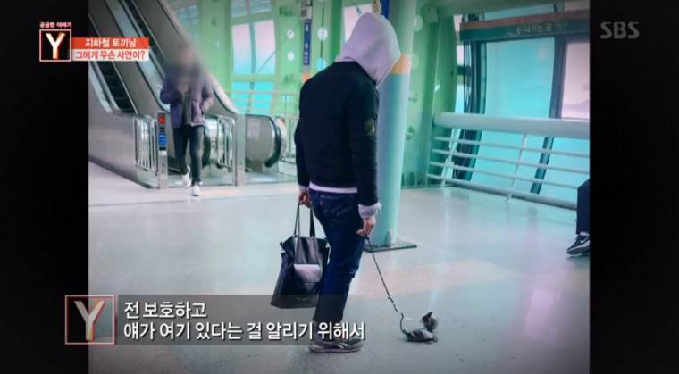 지하철 토끼남의 사연 | 인스티즈