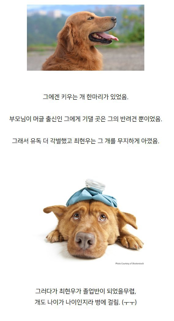 최현우가 호그와트에서 퇴학당한 이유.jpg | 인스티즈