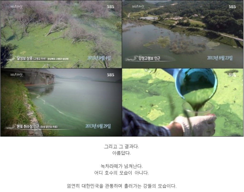 22조 들어간 4대강이 완전히 실패한 사업인이유 | 인스티즈