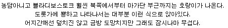 러시아의 길고양이 | 인스티즈