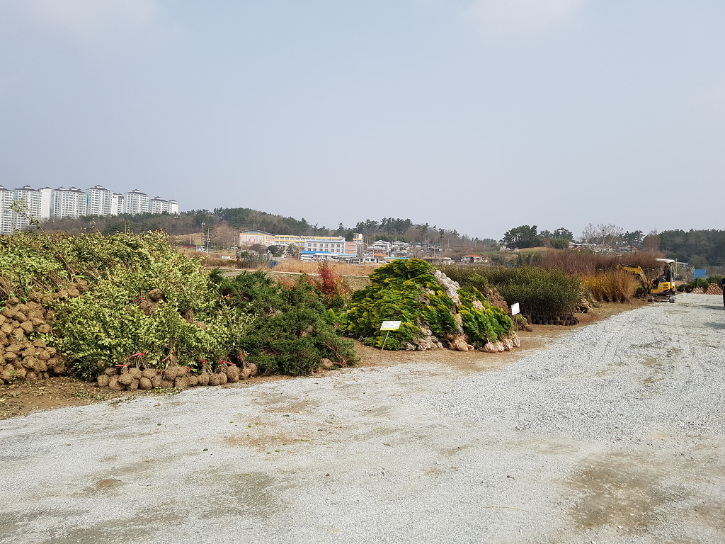 금성농원 이미지