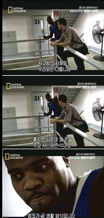 펨코왜 스팀같은 데서 돈주고 사는거야? | 인스티즈