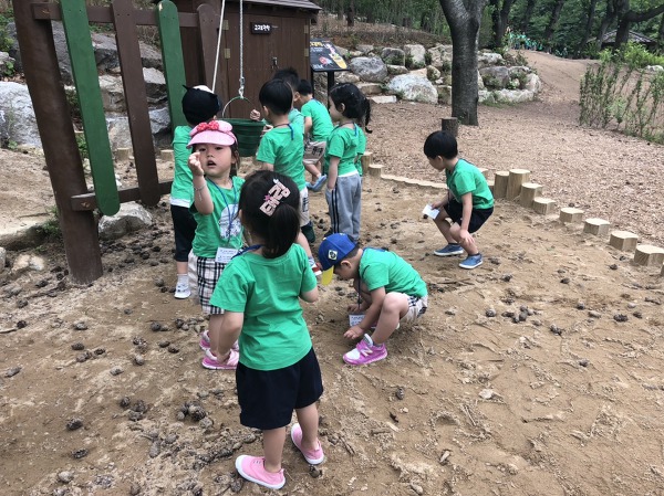 진해 유아숲체험원 이미지