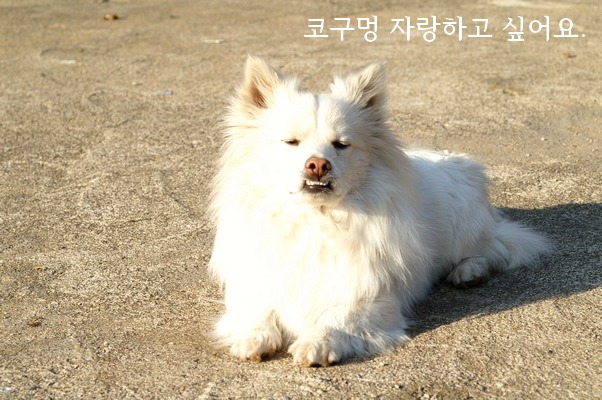 아고라카페 이미지