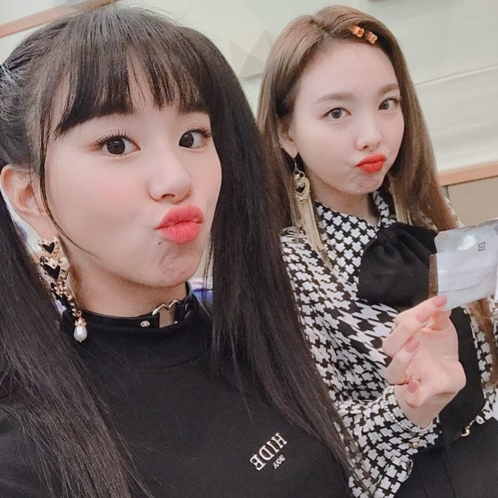 트와이스 채영 인스타그램 | 인스티즈