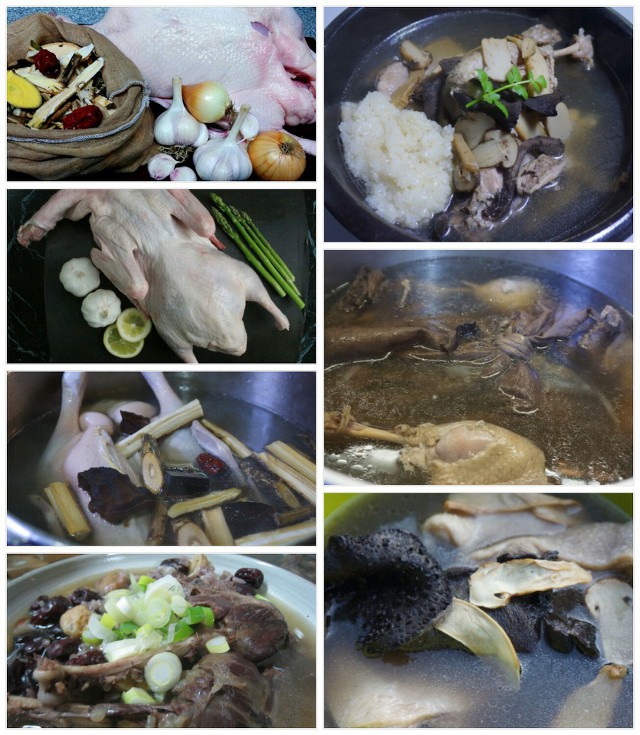 싱싱오리 이미지