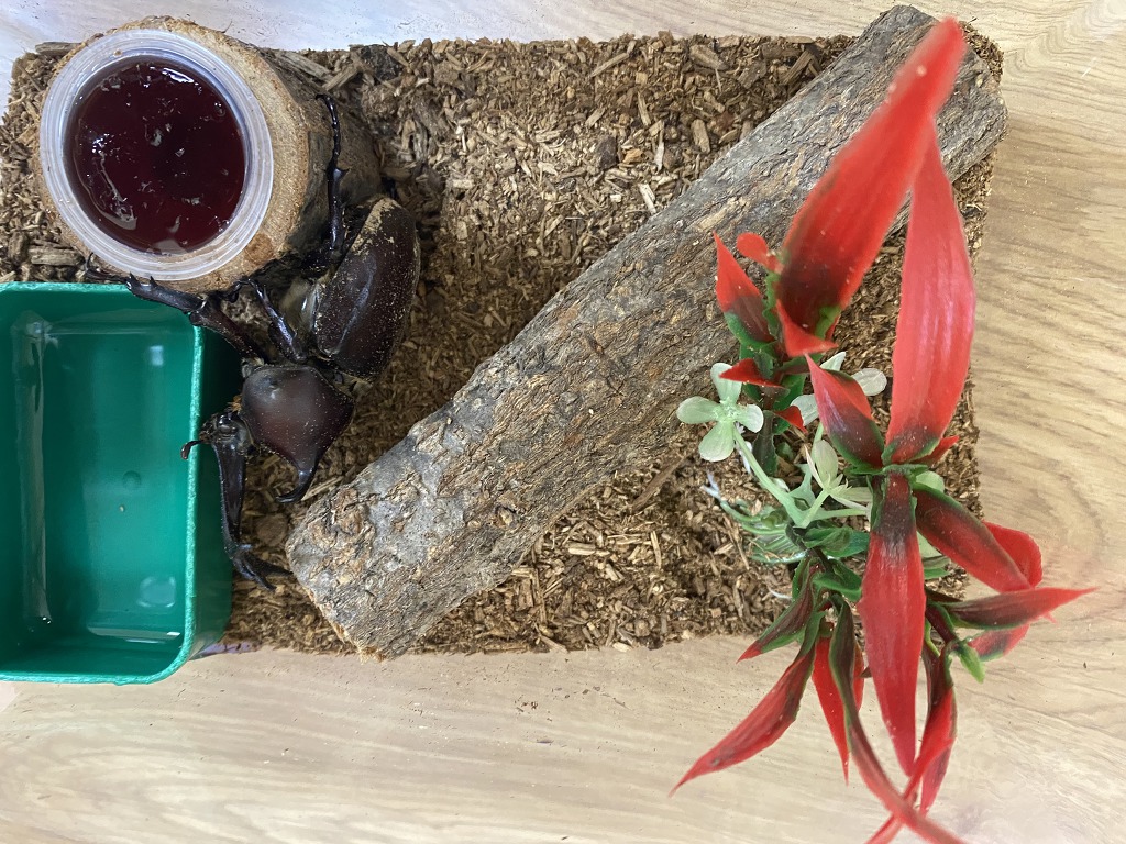 한누리유치원 이미지