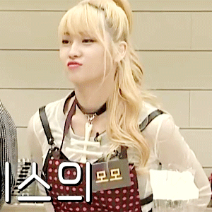 한국에 와서 싸움의 기술을 터득한 모모.gif | 인스티즈