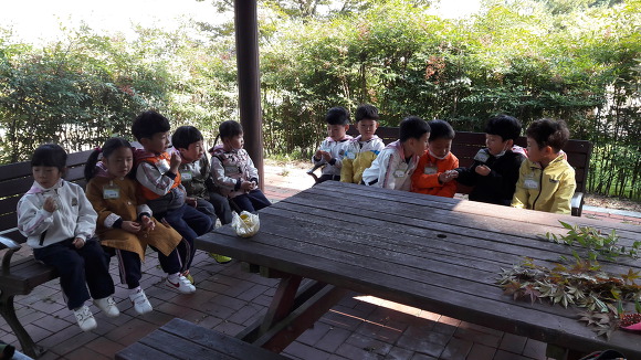 풀빛공원 유아숲체험원 이미지