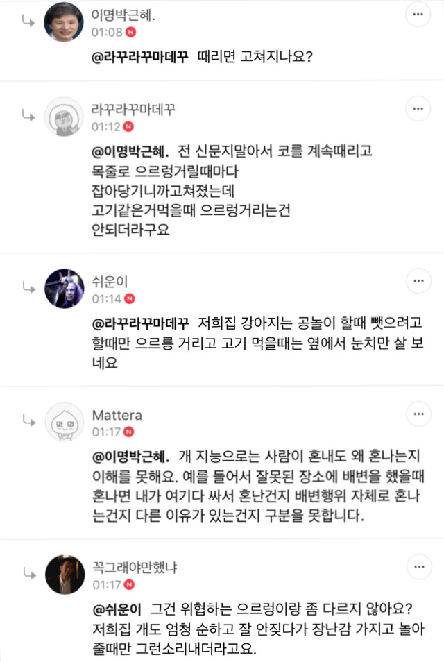 그저 귀여운 강아지 글에서 폭력성 들어내는 임종; | 인스티즈