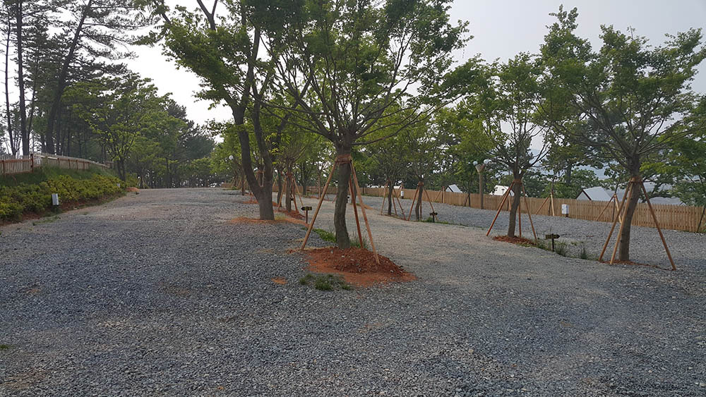 태안별빛오토캠핑장 이미지