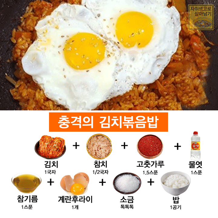 이것만 알아도 최소 볶음밥 장인! 맛있는 볶음밥 레시피 모음!!! | 인스티즈