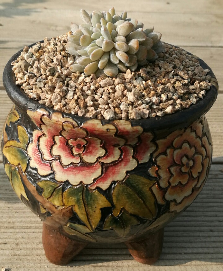 라우 이미지