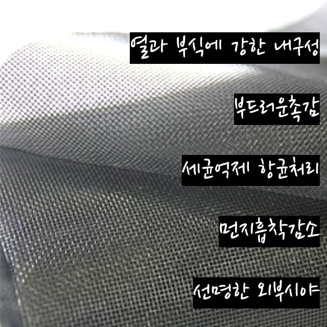 납읍초등학교 이미지