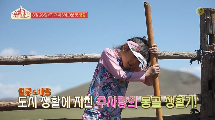 sbs에서 무도 시간대에 새로 하는 예능 | 인스티즈