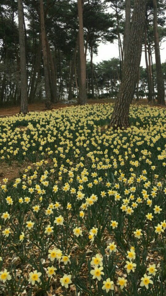 골망태 이미지