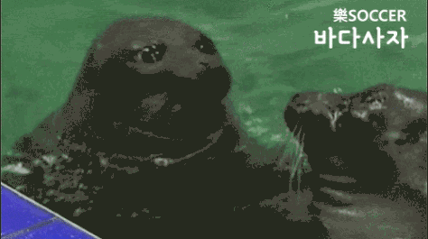 우주정거장에서 본 지구 | 인스티즈