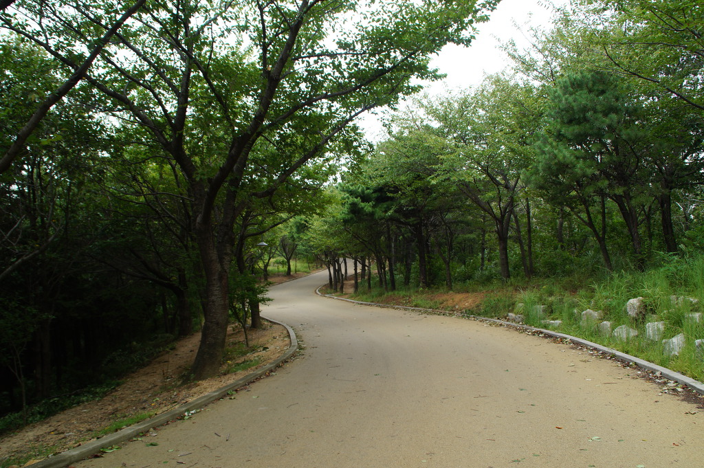 850 전망대 이미지