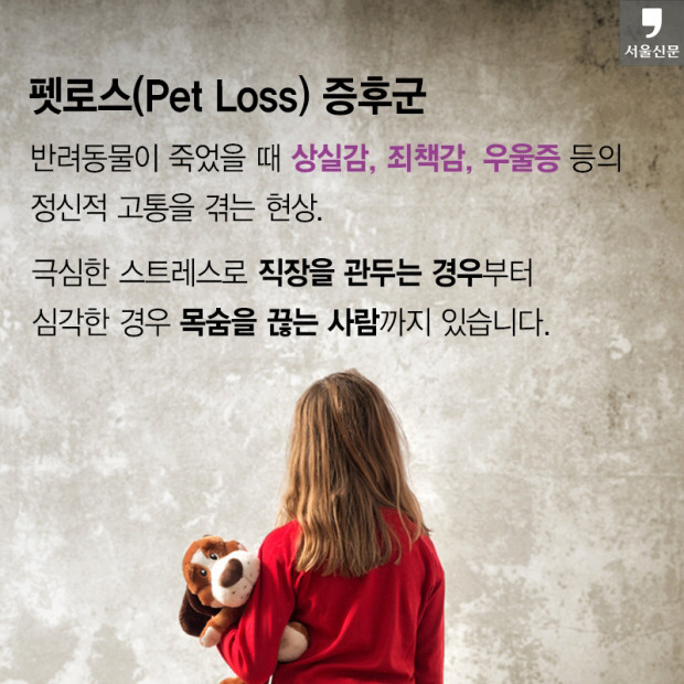 처음 반려동물 만났을때 너무 좋고 예뻐서 전혀 생각하지 못하는 것.jpg | 인스티즈