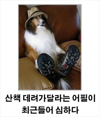 제목학원 레전드 모음 (귀여운것들 섞여잇음) | 인스티즈