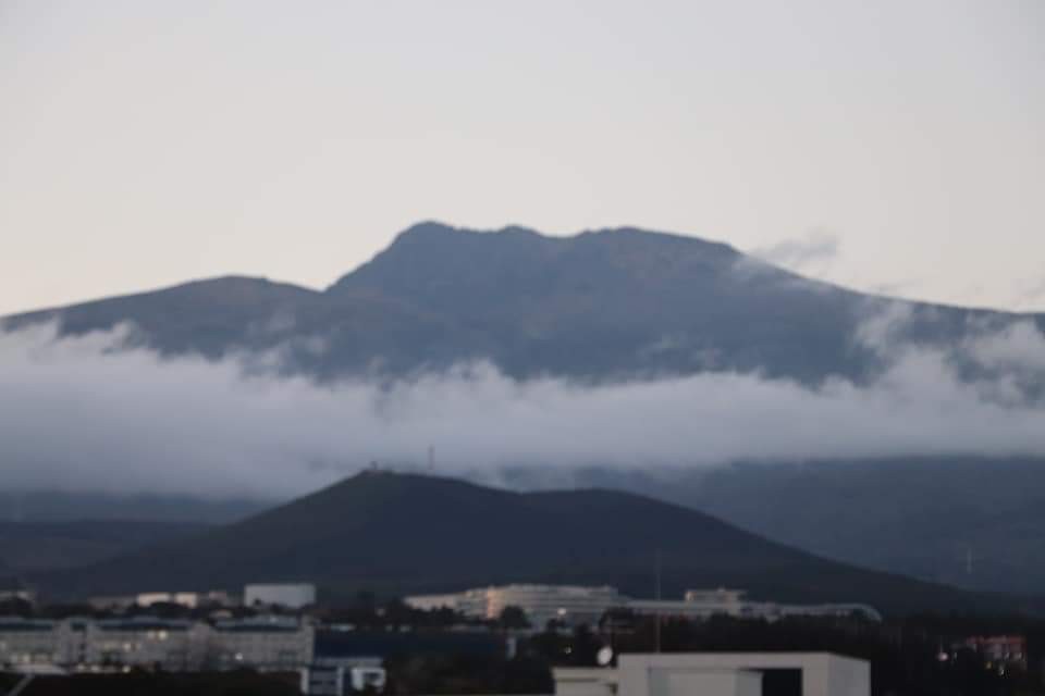 한라산 플러스 이미지