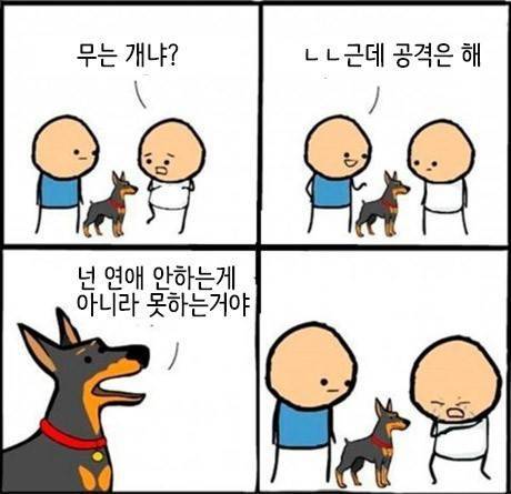 공격하는 개 | 인스티즈
