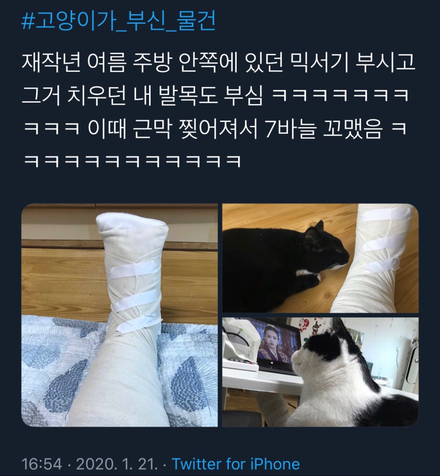 귀엽지 않았으면 멸종당했을 생물.jpg | 인스티즈