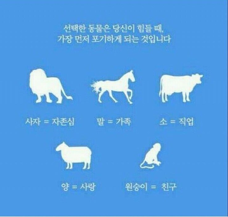 미국에서 퍼지고 있는 매우 정확한 심리테스트.jpg | 인스티즈