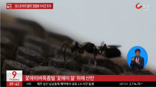 외래종 퇴치를 위한 최종병기 투입.jpg | 인스티즈
