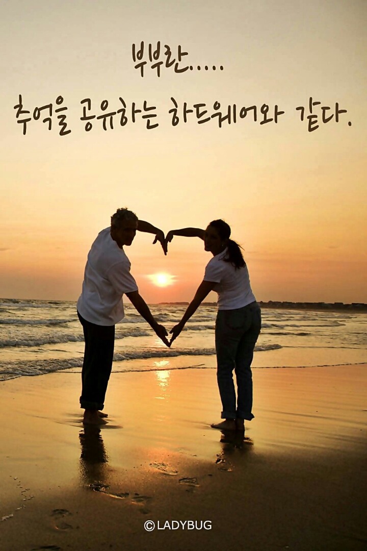 부부 이미지