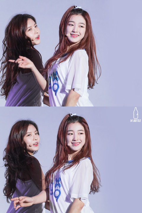 [구구단] 아이스크림이 먹고싶어서 하나 | 인스티즈