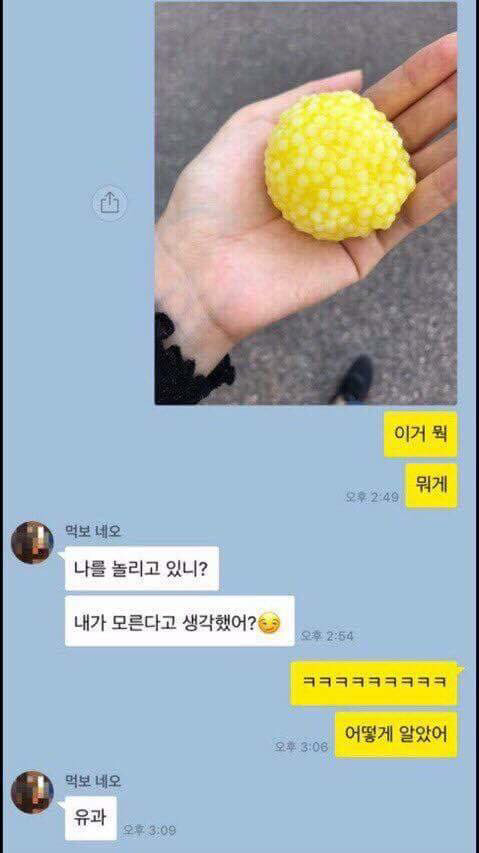 외국인친구가 액괴보고 ㅋㅋㅋㅋㅋㅋㅋ | 인스티즈