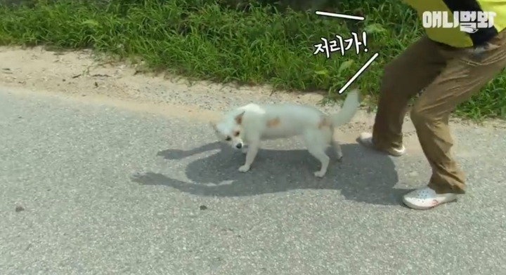 키워키우라고 vs 절대 안키울거라는 아저씨 | 인스티즈