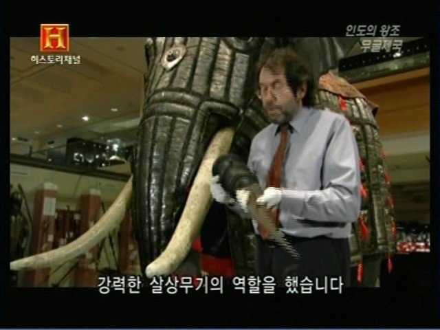 인도의 무굴 제국에서 사용한 전투 코끼리 갑옷 | 인스티즈