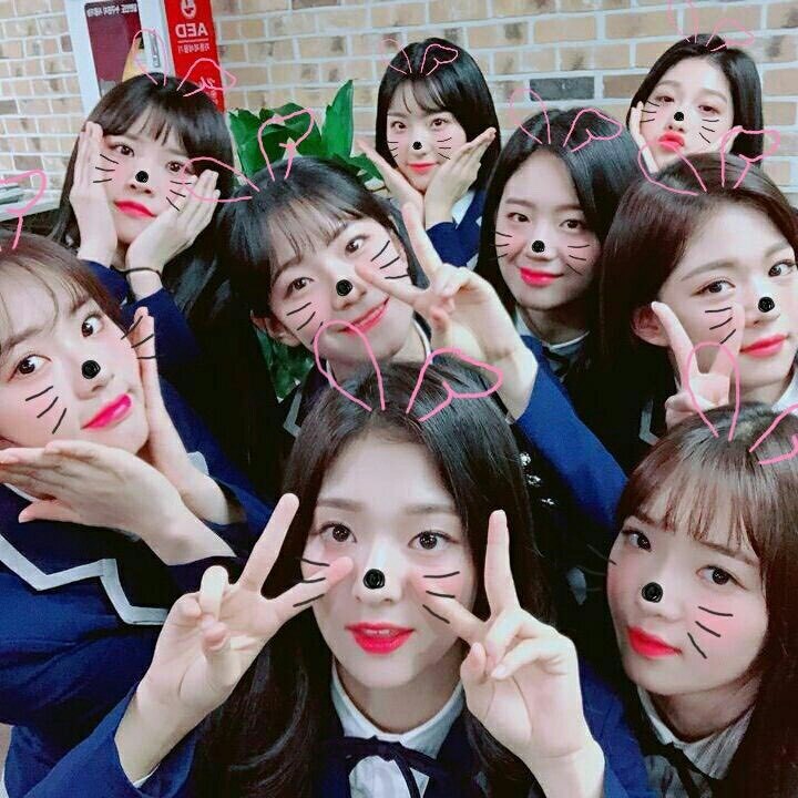 오늘은 프로미스나인이 결성된 1년되는 날!! | 인스티즈