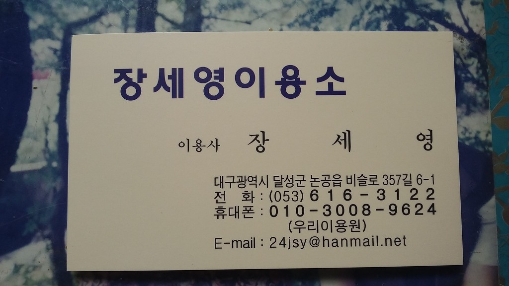 금빛머리 이미지