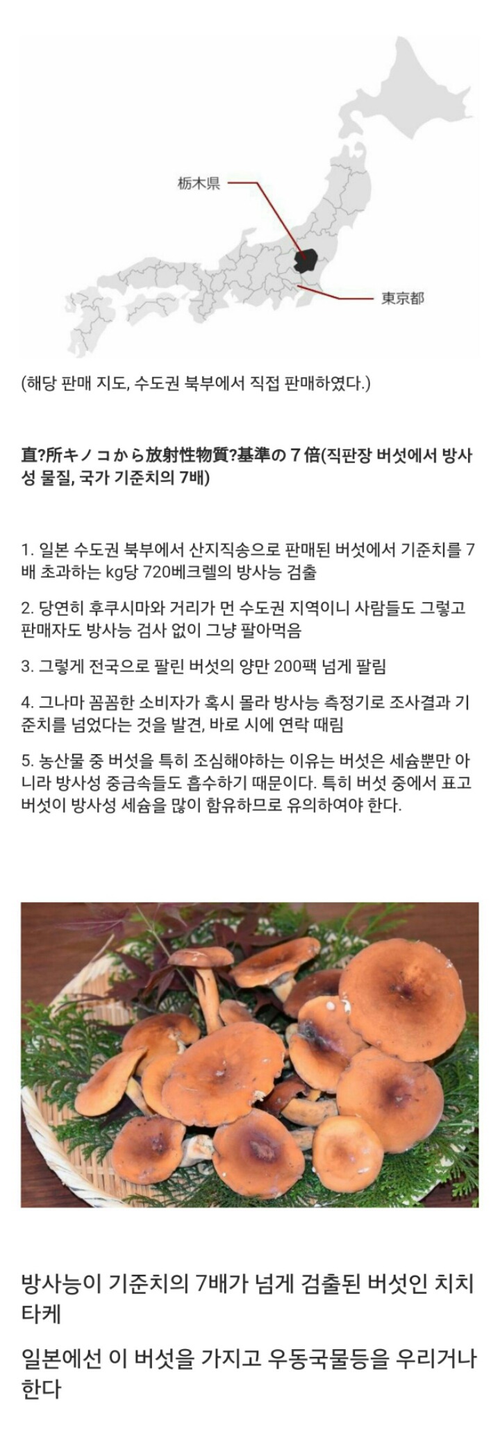 일본버섯을 조심해야하는 이유 | 인스티즈