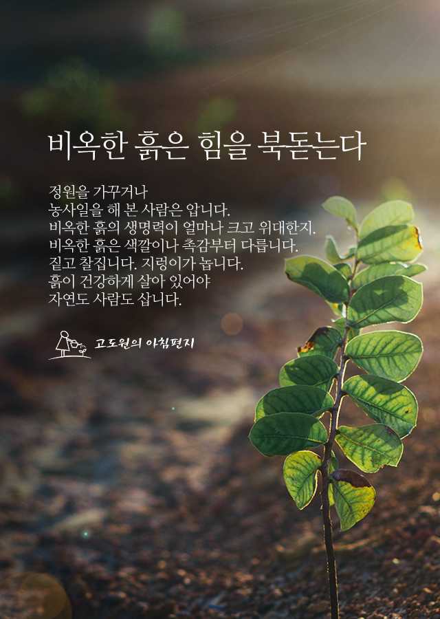 비옥 이미지
